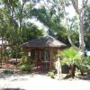 Un gazebo in legno tra alberi e piante, vicino al mare.