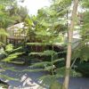 Giardino con sentiero circondato da piante e alberi.