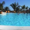 Piscina azzurra con palme e sdraio.