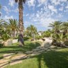Giardino con palme, percorsi di pietra e cielo azzurro con nuvole.