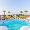 Persone che nuotano in una piscina circondata da palme e lettini.