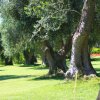 Villaggio Uliveto (FG) Puglia