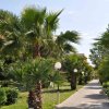 Un viale fiancheggiato da palme e lampioni in un giardino soleggiato.