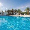 Ampia piscina con sdraio e palme tutt'attorno.