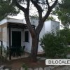 Bilocale bianco con portico coperto e tavolo, circondato da alberi e verdi cespugli.