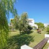 Giardino con alberi e sentiero in pietra.