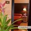 Una camera con letto matrimoniale, lampada accesa e pianta in primo piano.
