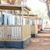 Case mobili con verande in un campeggio tra alberi.