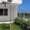 Giardino con albero e vista sul mare.