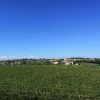 Un vasto campo verde sotto un cielo blu.