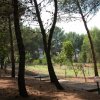 Sentiero nel bosco con gradini di pietra tra alberi alti e ombra.