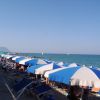 File di ombrelloni blu e bianchi su una spiaggia affollata.
