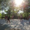 Un gruppo di persone gioca a pallavolo sulla sabbia sotto il sole tra alberi.