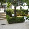 Tavolo e sedie in giardino, siepe e palme.