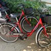 Biciclette rosse con cestini neri parcheggiate vicino a cespugli verdi.