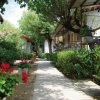 Vialetto tra case circondato da fiori rossi e alberi, in una giornata soleggiata.