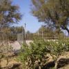 Camping Villaggio Lamaforca (BR) Puglia