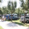 Persone camminano tra auto e roulotte in un campeggio alberato.