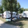 Roulotte parcheggiate e biciclette sotto alberi in campeggio.