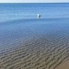 Mare calmo con piccole onde e una boa bianca.