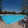 Piscina grande circondata da palme.