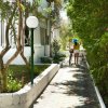 Donna con bicicletta e cane cammina lungo un viale alberato.