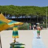 Una spiaggia con ombrelloni giallo-verdi e alberi sullo sfondo.