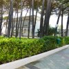 Un vialetto pedonale con cespugli, alberi alti e un edificio storico sullo sfondo.
