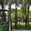 Un giardino ombreggiato con alberi alti e edifici bianchi. Giochi per bambini sul prato.