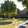 Un giardino con lettini blu sotto ombrelloni di legno, vicino a un albero piangente.