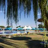 Piscina circondata da ombrelloni blu e lettini su prato, vista dietro un albero.
