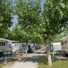 Camper parcheggiati sotto alberi ombrosi.