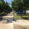 Sentiero alberato con auto parcheggiate.