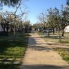 Un viale alberato con marciapiede centrale sotto un cielo azzurro.