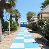 Vialetto bianco e azzurro tra palme e cespugli.