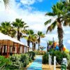 Vialetto con palme e gazebo sulla spiaggia.