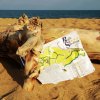 Una mappa su legno su una spiaggia sabbiosa vicino al mare.