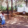 Persone praticano tiro con l'arco in un'area boschiva.