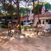 Persone in bicicletta tra gli alberi vicino a un edificio con bandiere.