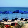 Ombrelloni blu e sedie a sdraio su una spiaggia sabbiosa con mare calmo.